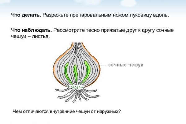 Как зайти на кракен через браузер