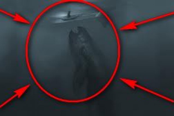 Kraken зеркало тор